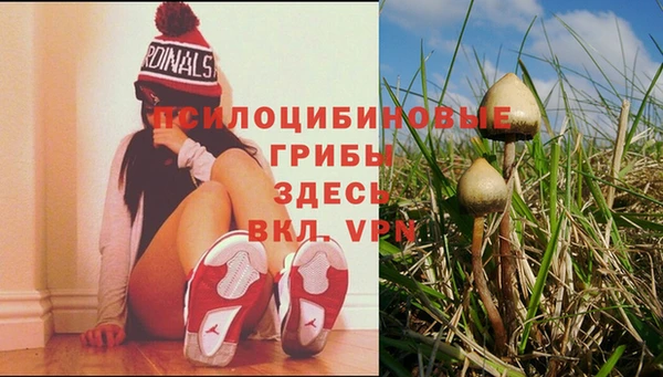 стаф Нягань