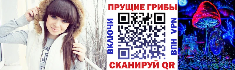 Псилоцибиновые грибы мицелий  купить закладку  Александровск 