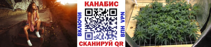 Конопля White Widow закладка Александровск